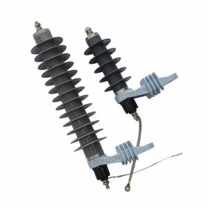 Surge Arresters & Lightning Protectors